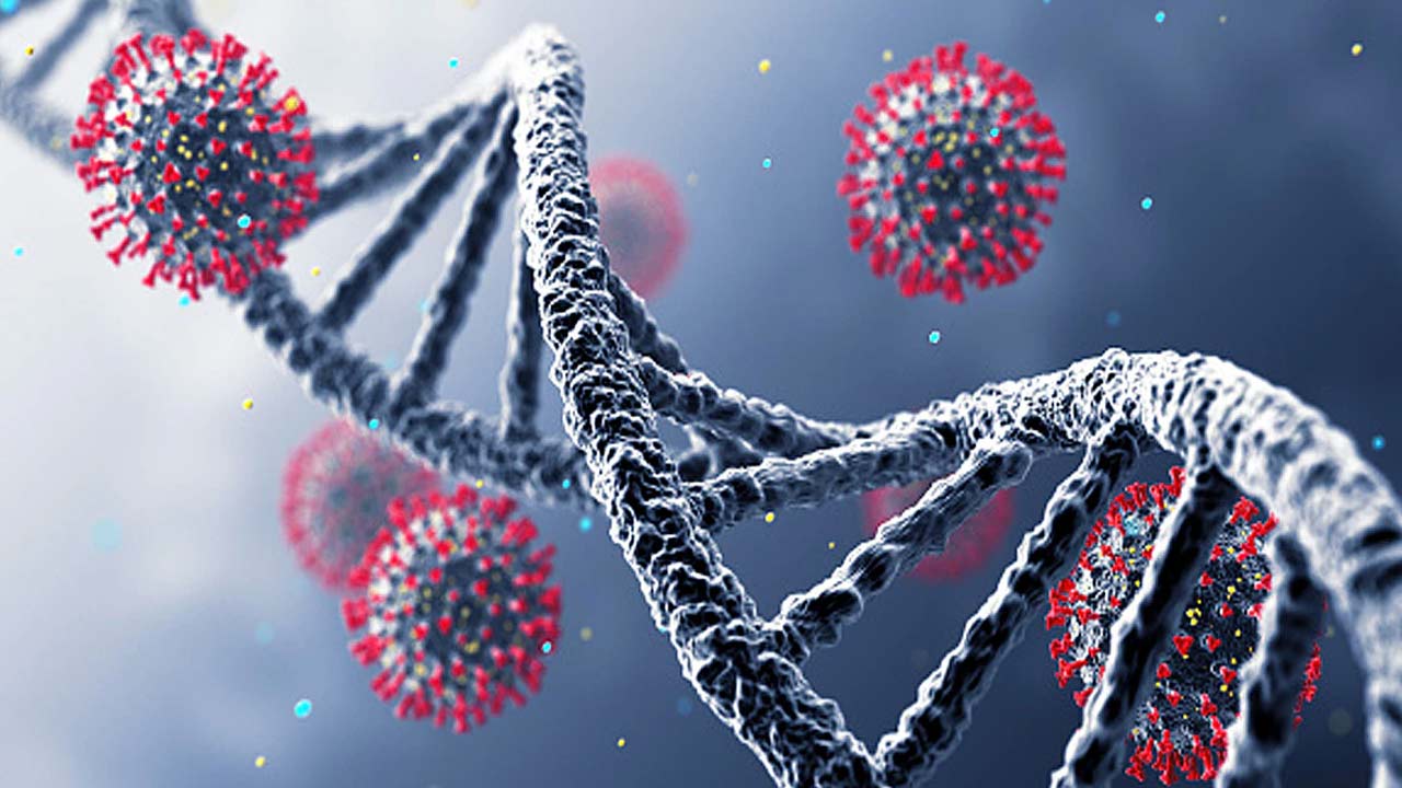 New Bat Coronavirus: థాయ్‌లాండ్‌లో కొత్త కరోనావైరస్.. శాస్త్రవేత్తలు ఏమంటున్నారంటే?
