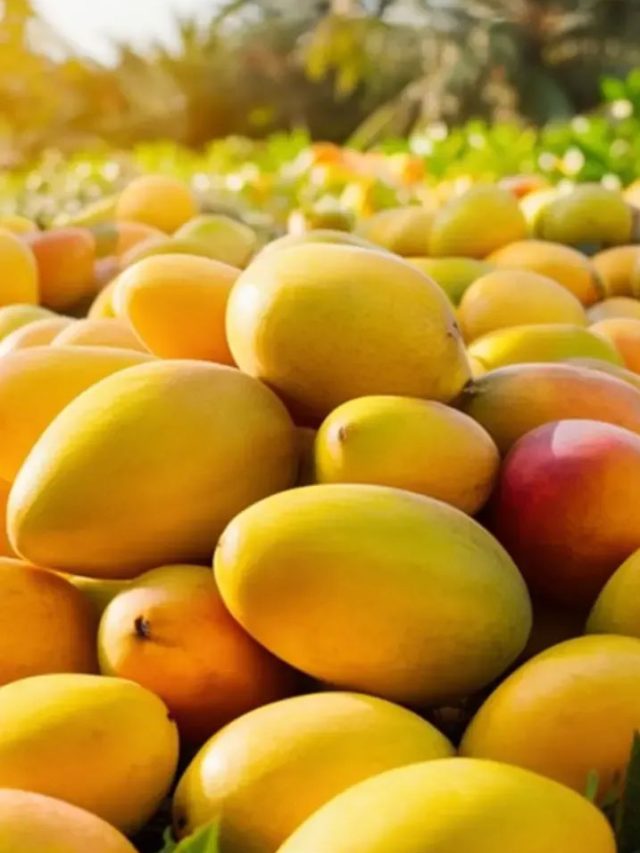 చర్మం గ్లో కావాలా? వేసవిలో మామిడి ఇలా తినండి!