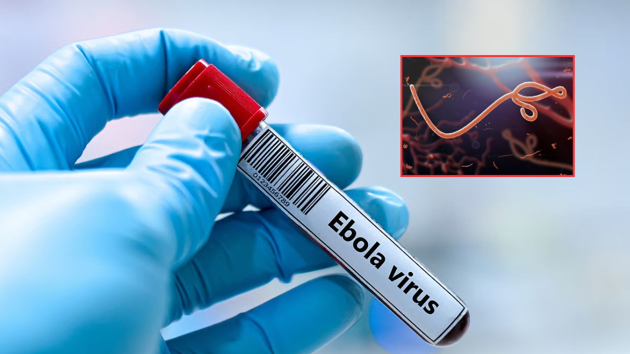 andhra pradesh government on high alert over ebola virus threat special screening at airports