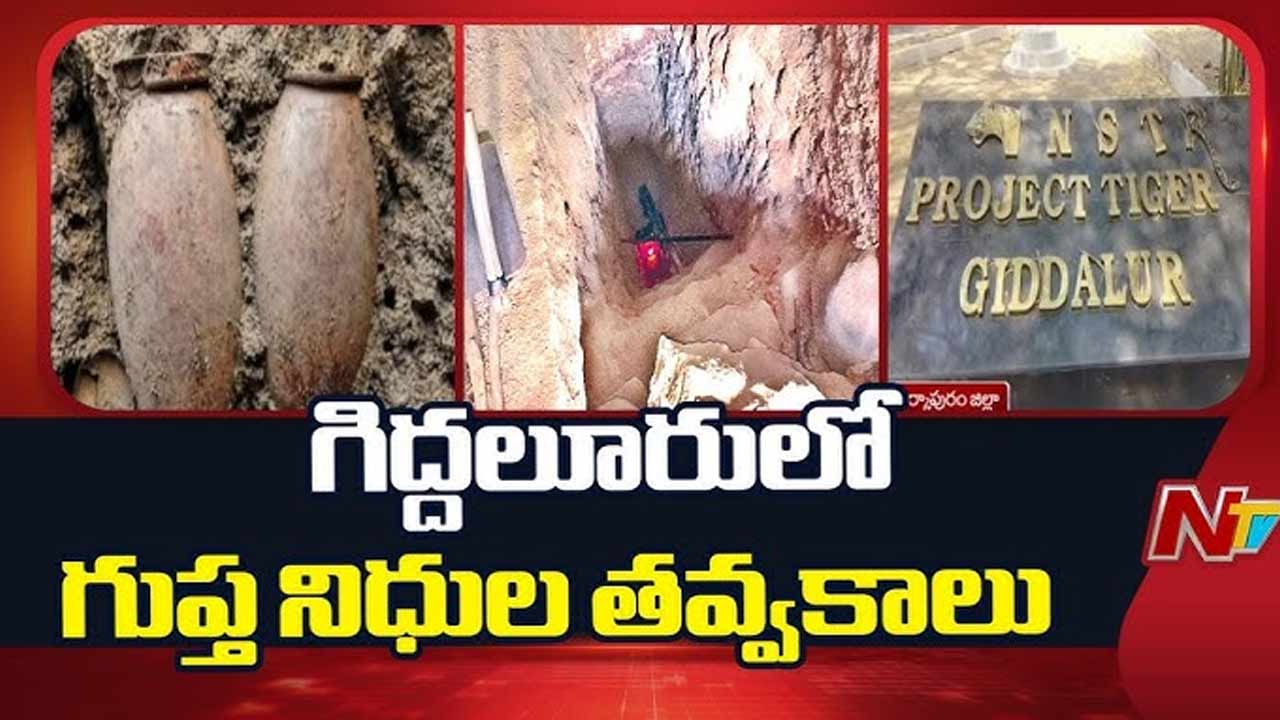 Hidden Treasure : అడవిలో అర్థరాత్రి తవ్వకాలు.. గుప్తనిధుల కోసం ఫారెస్ట్ ఆఫీసర్లే వేట.?