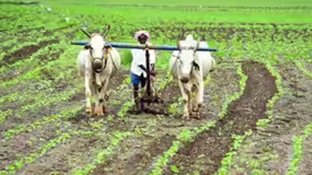 Pm Kisan