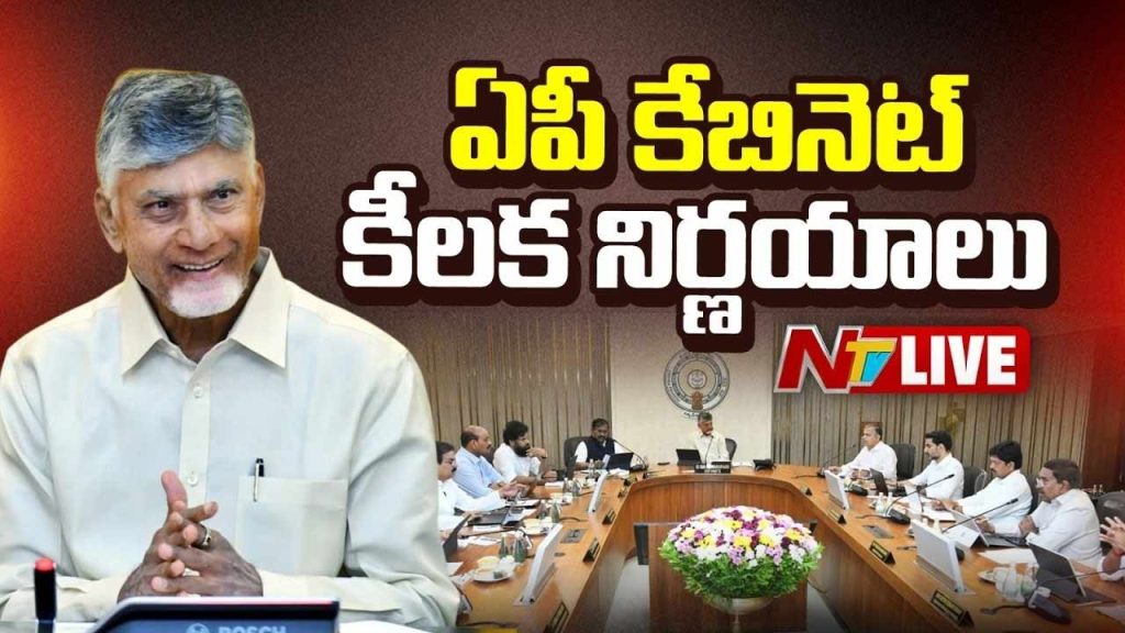 Ap Cabinet Key Decisions
