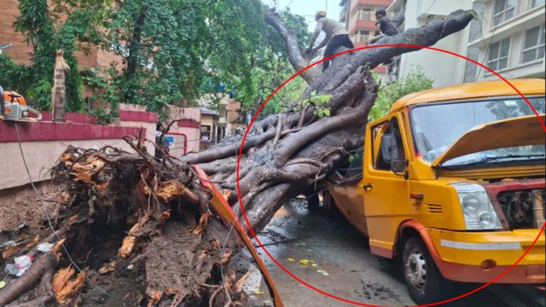 Mumbai: ముంబైలో ఘోరం.. స్కూల్ వ్యాన్‌పై కూలిన భారీ వృక్షం.. 11 ఏళ్ల విద్యార్థి మృతి