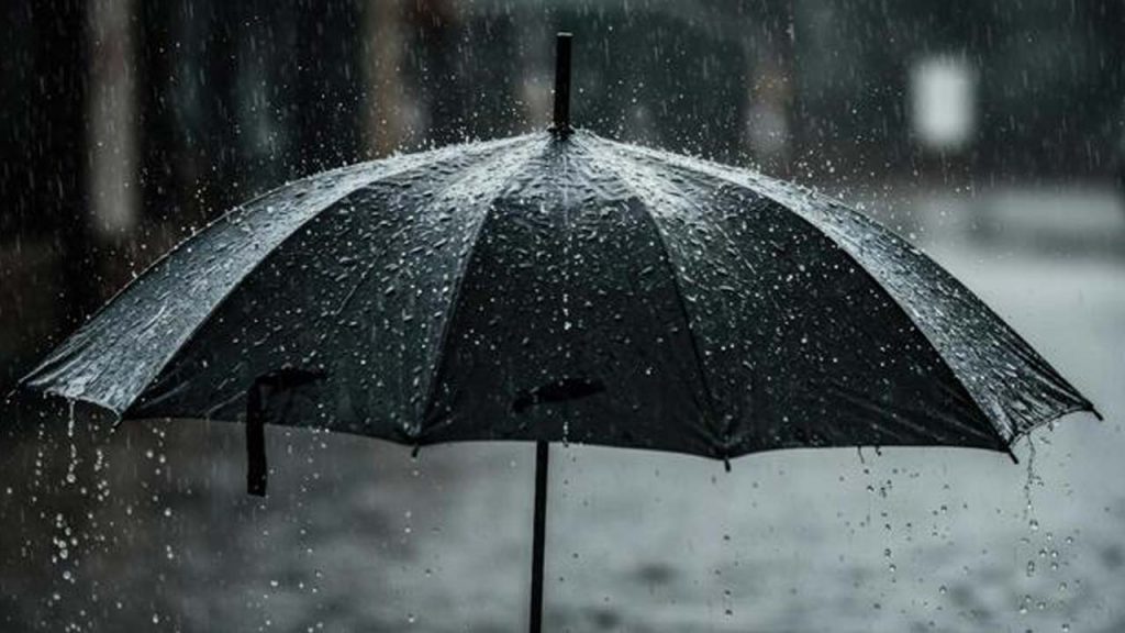 Black Umbrella