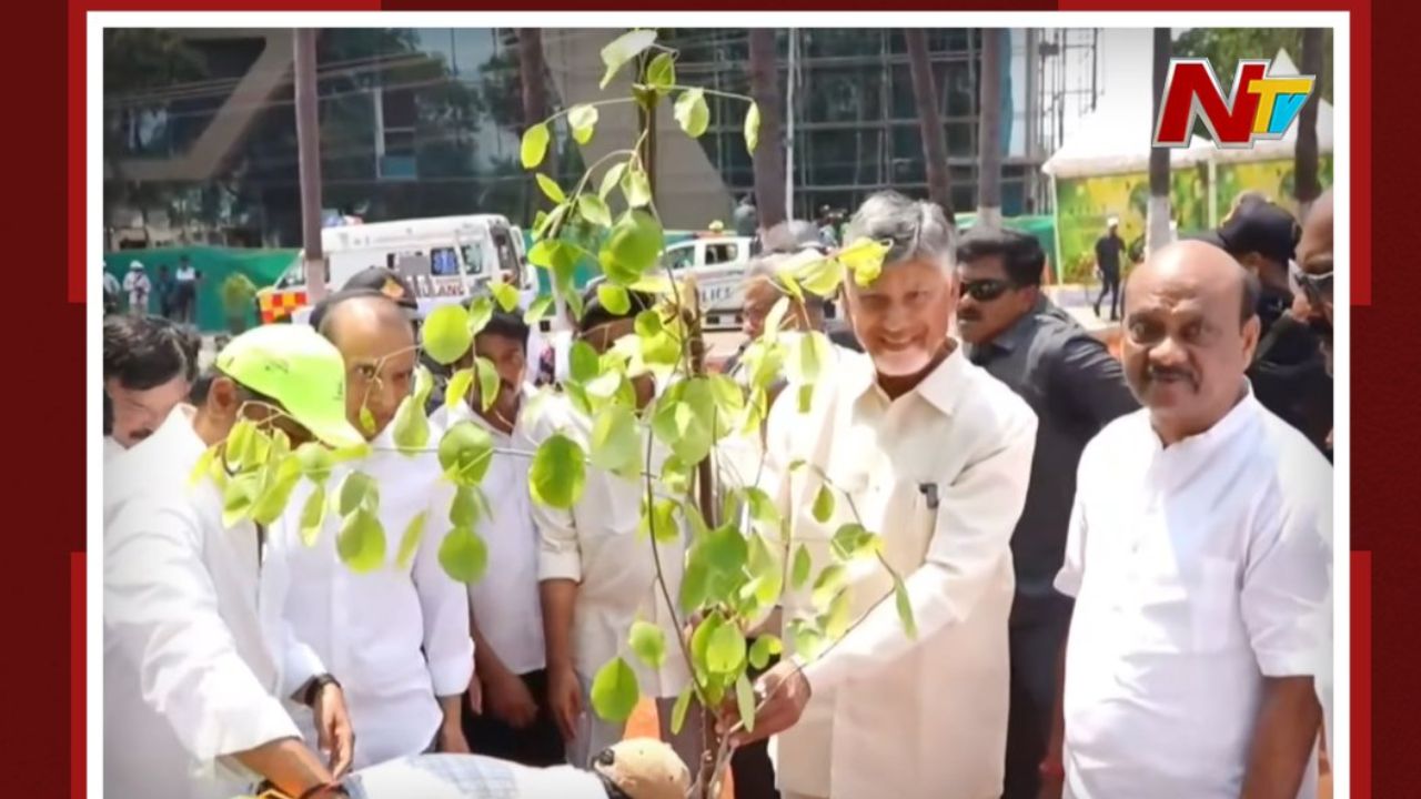 cm chandrababu slams au vc over low green cover unveils green vision for andhra university