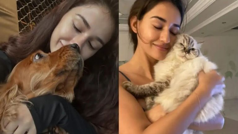 Disha Patani : ప్రాణ స్నేహితులకు కన్నీటి వీడ్కోలు.. ఇన్‌స్టాలో దిశా ఎమోషనల్ పోస్ట్ వైరల్