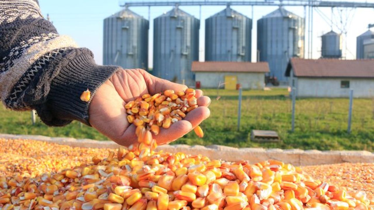 telangana plans modern grain storage silos worth rs 4450 crore across 23 districts