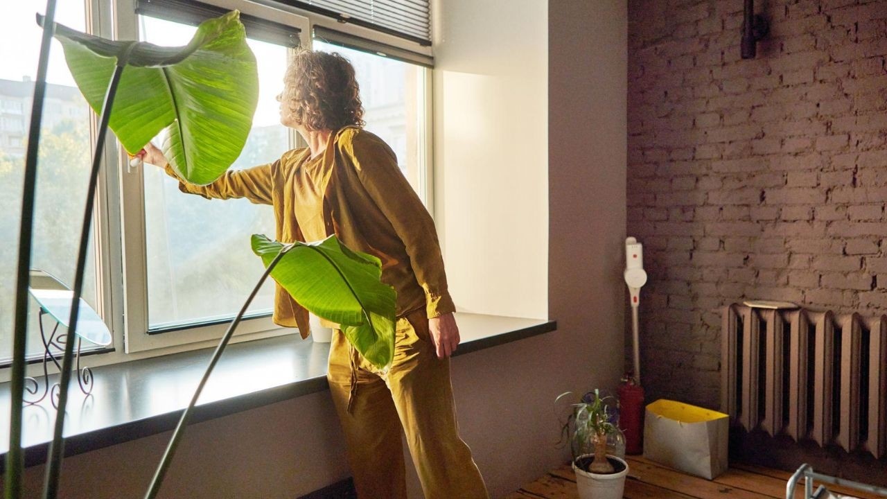 Home Cleaning Tips : ఇంట్లో దుర్వాసన వస్తోందా? కారణం ఇదే కావచ్చు.. ఈ చిన్న మార్పులతో ఇల్లు రోజంతా ఫ్రెష్‌గా ఉంటుంది!