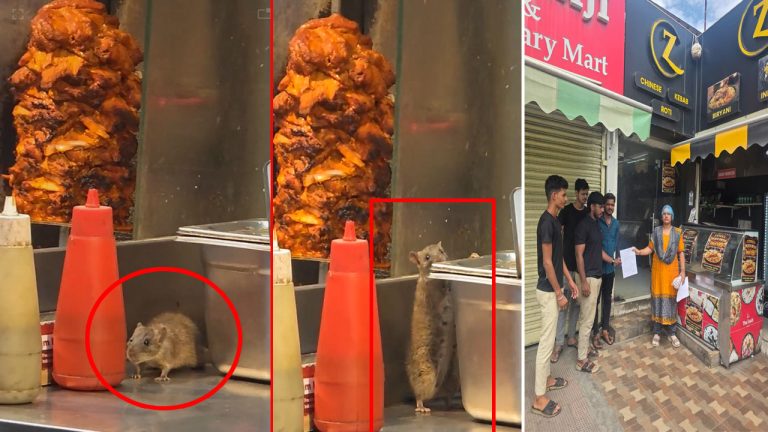 Hyderabad: ప్రజల ప్రాణాలతో చెలగాటం.. ఎలుకల మధ్య తయారైన ఫుడ్.. కుళ్లిన బిర్యానీ, కూరగాయలు..