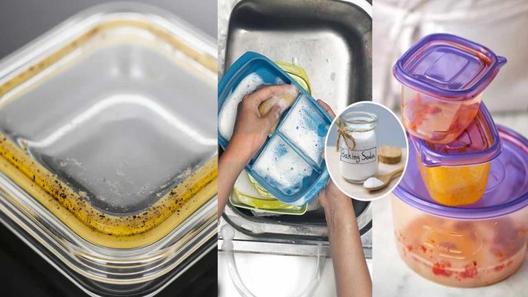 Lunch Box Cleaning : లంచ్ బాక్స్ రబ్బరు మురికితో నల్లబడిందా..? ఇలా సింపుల్‌గా మెరిపించండి.!