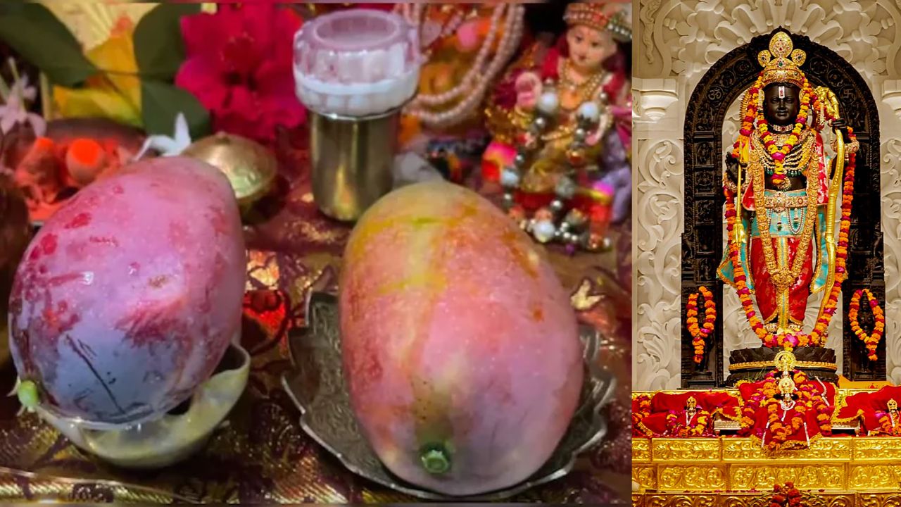 Ayodhya Ram Mandir: రాముడికి ప్రసాదంగా ప్రపంచంలోనే అత్యంత ఖరీదైన మామిడి పండ్లు.!