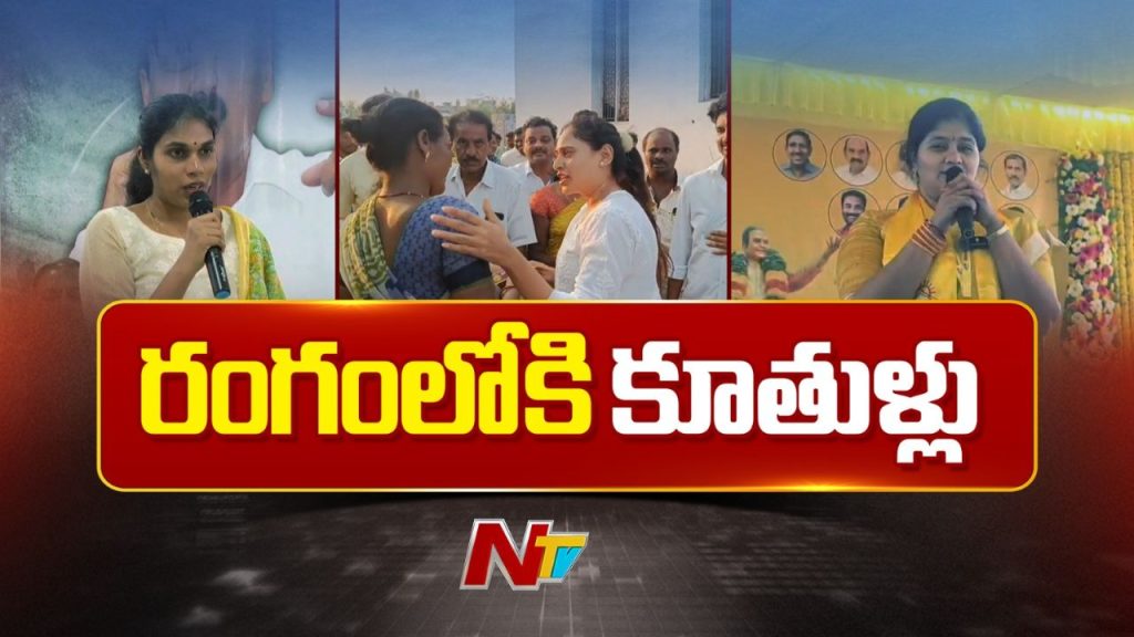 Nellore Politics