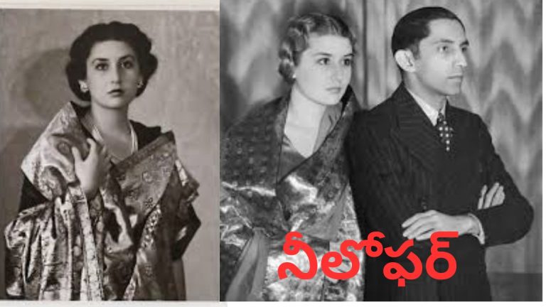 Nilufer: టర్కీ యువరాణి నుంచి హైదరాబాద్ ప్రజల ఆరాధ్యురాలిగా.. ‘నీలోఫర్’ అసాధారణ ప్రయాణం.!