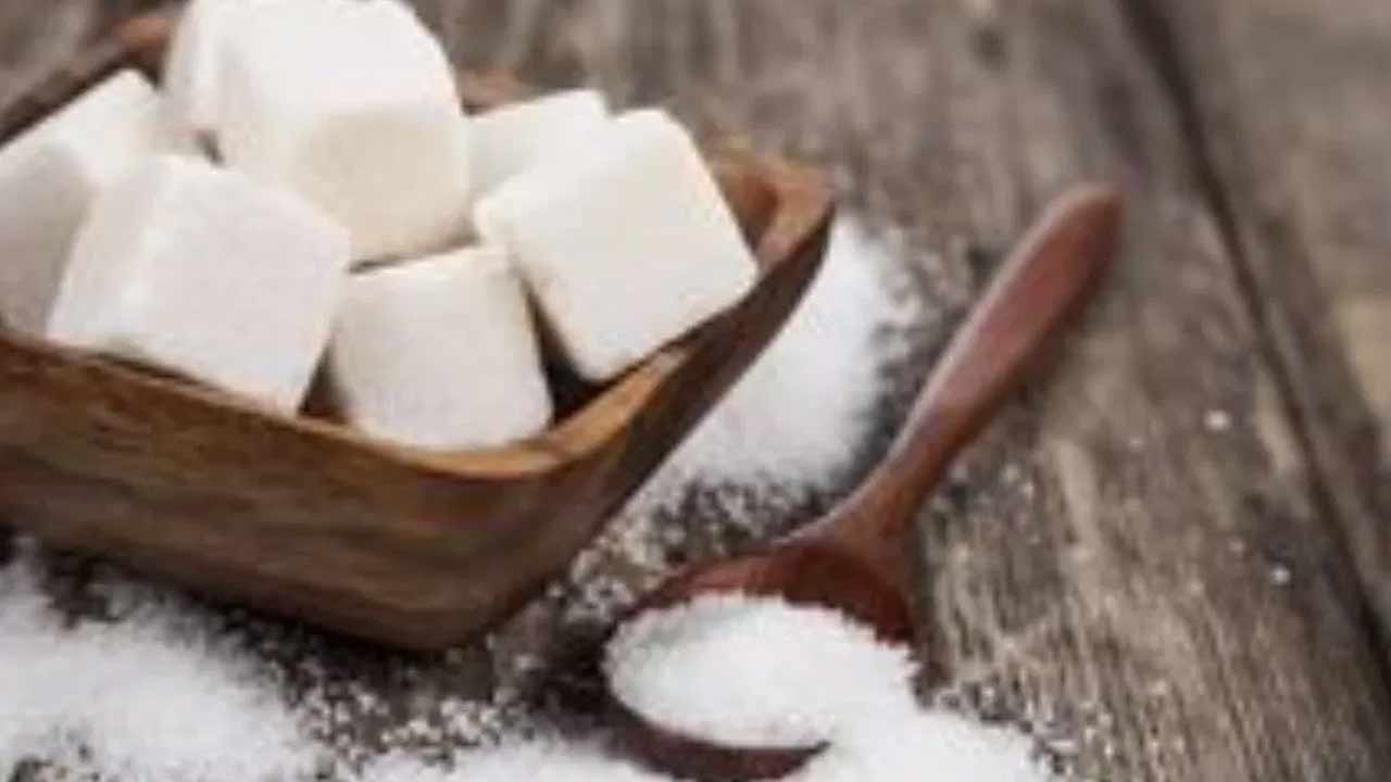 Sugar Free Diet: చక్కెర పూర్తిగా మానేస్తే ఆరోగ్యానికే ప్రమాదమా..? తాజా అధ్యయనంలో షాకింగ్ నిజాలు