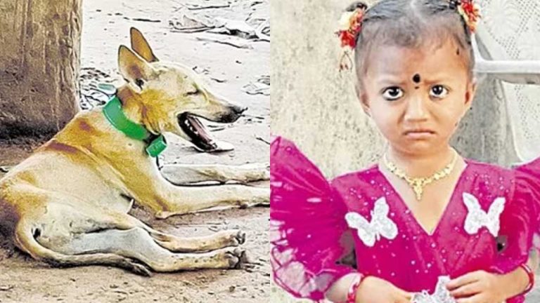 Missing Girl: ఆ చిన్నారి నవ్వులు ఏ క్రూరులు లాగేసుకున్నారు..? అంతుచిక్కని తుని మిస్టరీ.. ఏం జరిగింది..?