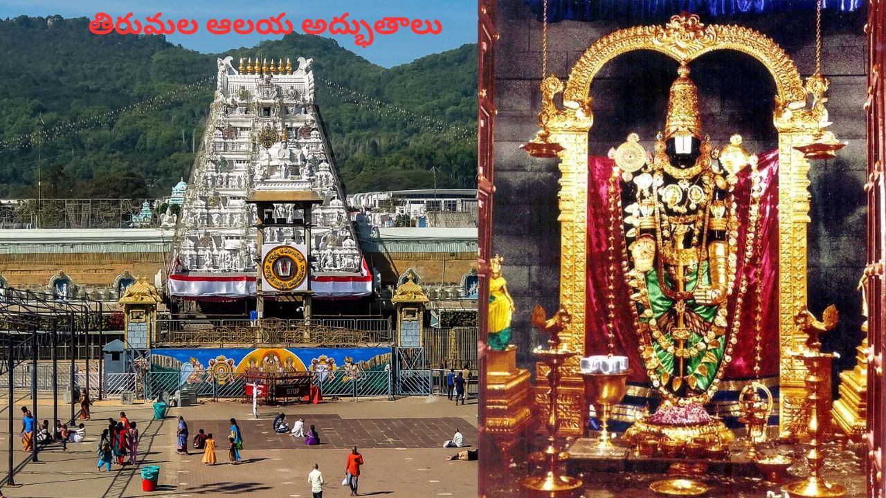 tirumala temple mysteries amazing facts and divine wonders of lord venkateswara