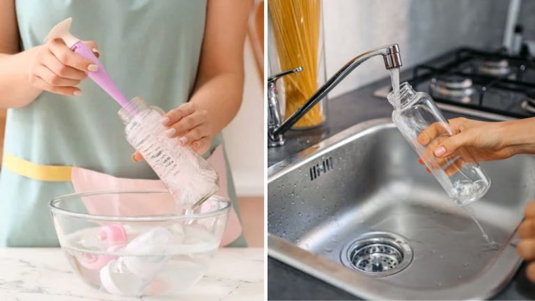 Water Bottle Cleaning: మీరు నీళ్లు తాగే బాటిల్ శుభ్రంగా ఉందా.? బ్యాక్టీరియా, దుర్వాసన రాకుండా ఇలా చేసేయండి.!