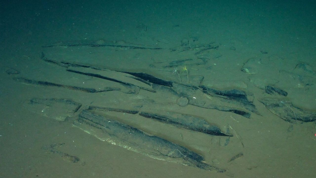 Whale Graveyard : నీటి అట్టడుగున 53 లక్షల సంవత్సరాల నాటి తిమింగలాల శ్మశాన వాటిక… ఎక్కడుందో తెలుసా ?