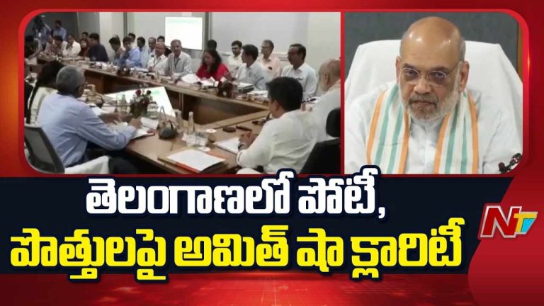 Amit Shah : తెలంగాణలో పోటీ, పొత్తులపై అమిత్ షా కీలక వ్యాఖ్యలు