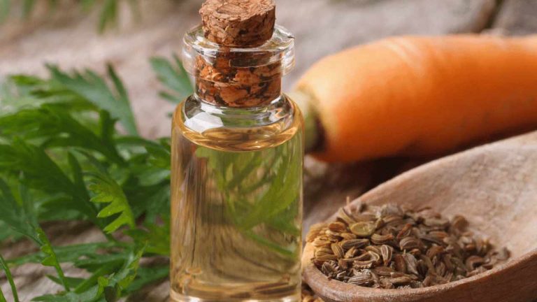 Carrot Oil : ముఖం గ్లో అవ్వాలా.? క్యారెట్ నూనెతో మెరిసే చర్మం..