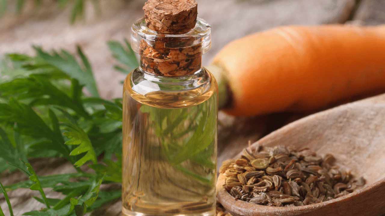 Carrot Oil : ముఖం గ్లో అవ్వాలా.? క్యారెట్ నూనెతో మెరిసే చర్మం..