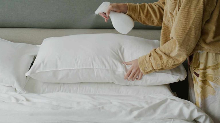 Cleaning Hacks : పరుపు, దిండు నుంచి వాసన వస్తోందా.? ఈ ఒక్క చిట్కాతో నిమిషాల్లో ఫ్రెష్.!