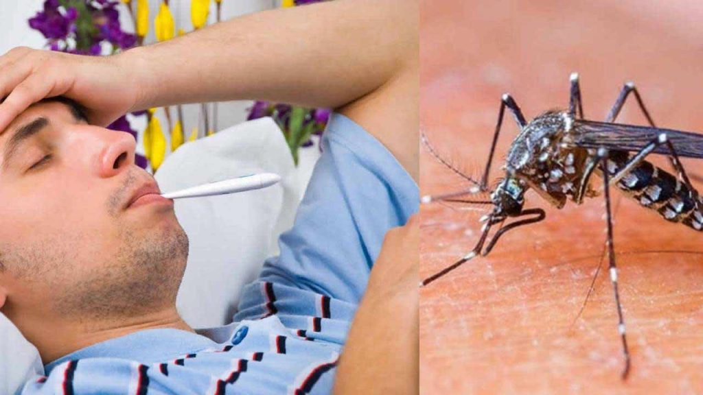Dengue