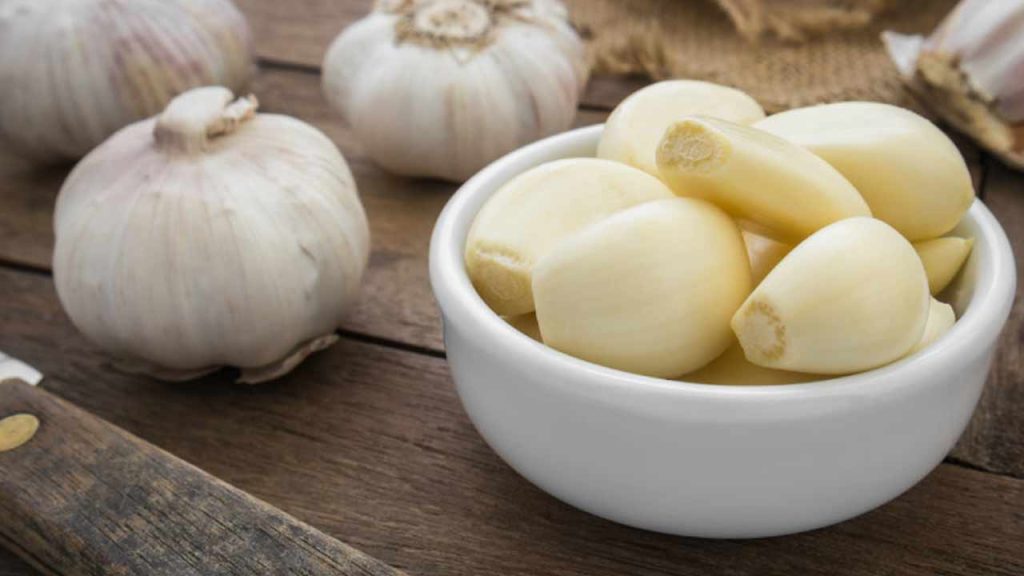 Garlic