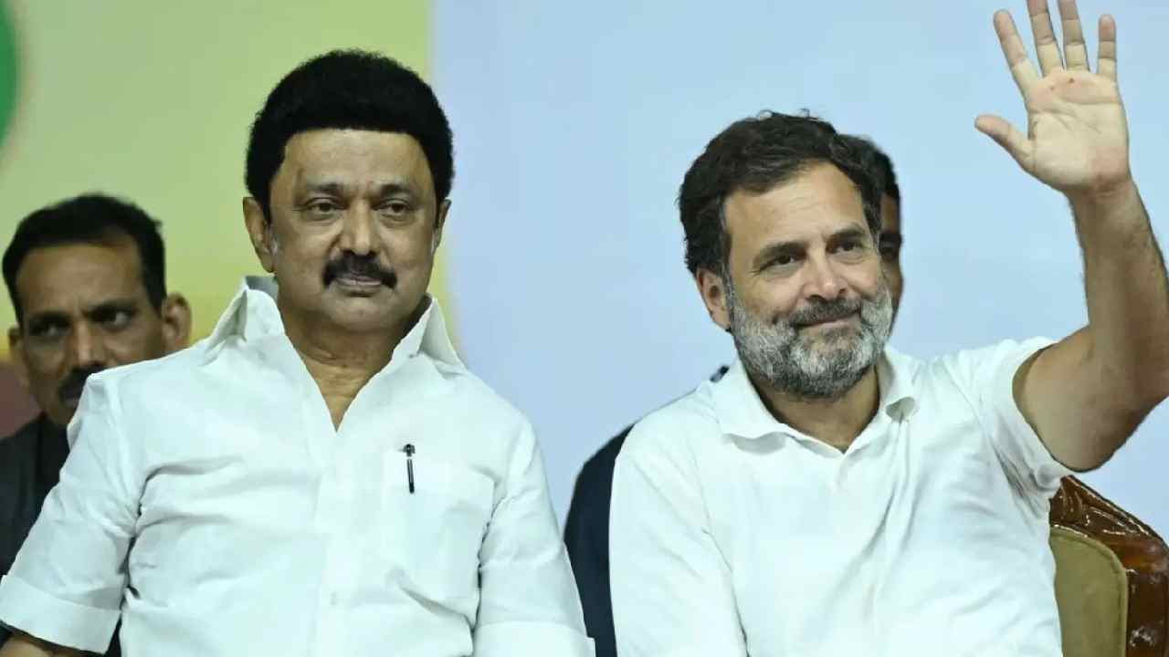 DMK: వెన్నుపోటుదారుడు, అతను బీజేపీకే లాభం.. రాహుల్ గాంధీపై డీఎంకే దాడి..