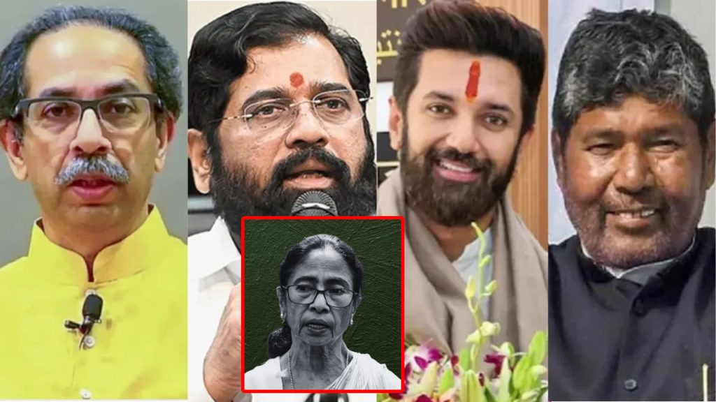 Tmc Rebellion