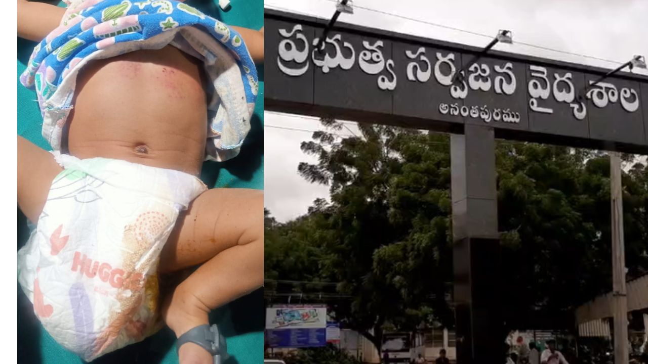Anantapur GGH: ఆస్పత్రి బిల్డింగ్ పైనుంచి పసికందును పడేసిన నానమ్మ.. శిశువు కాపాడిన వాటర్ బాటిల్!