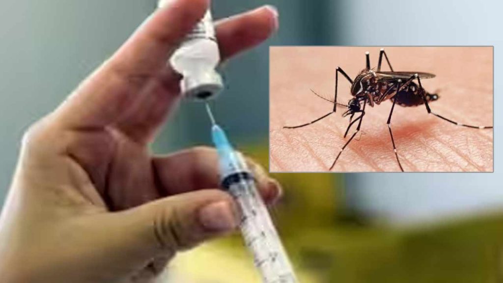 India First Dengue Vaccine