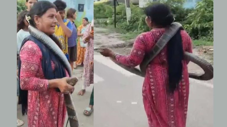 King Cobra Rescue: అమ్మబాబోయ్.. 10 అడుగుల రాచనాగుని చుట్టుకుని బయటకు వచ్చిన మహిళ (వీడియో)