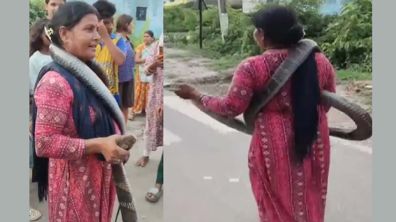 woman rescues 10 foot king cobra from house in bihar