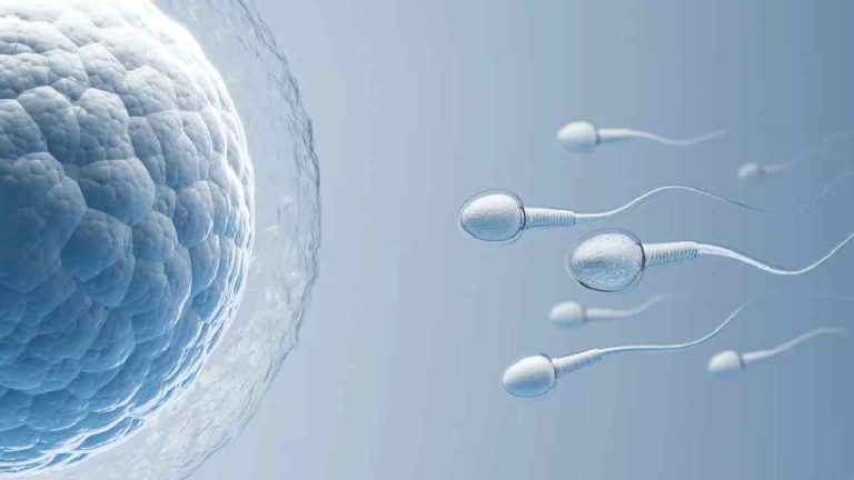 Male Fertility: సిగరెట్ మాత్రమే కాదు.. ఈ అలవాట్లు కూడా స్పెర్మ్ కౌంట్‌ను దెబ్బతీస్తున్నాయి..