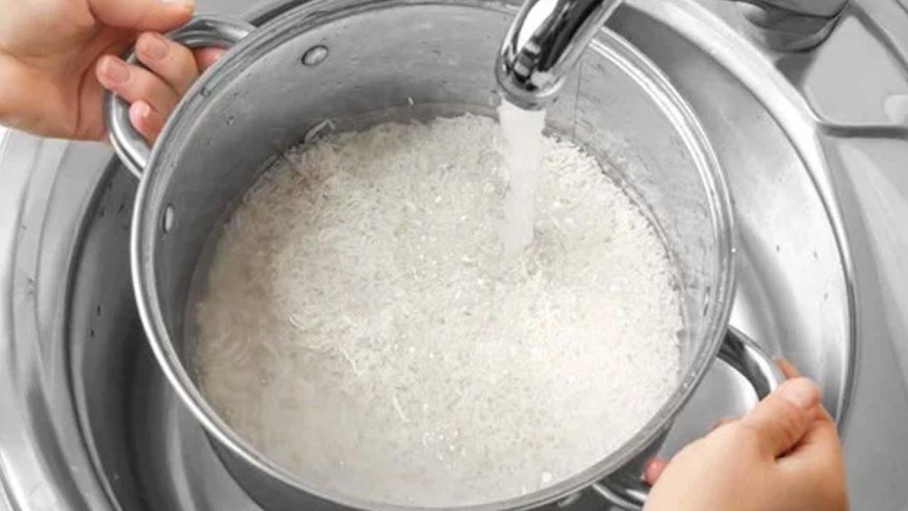 Rice
