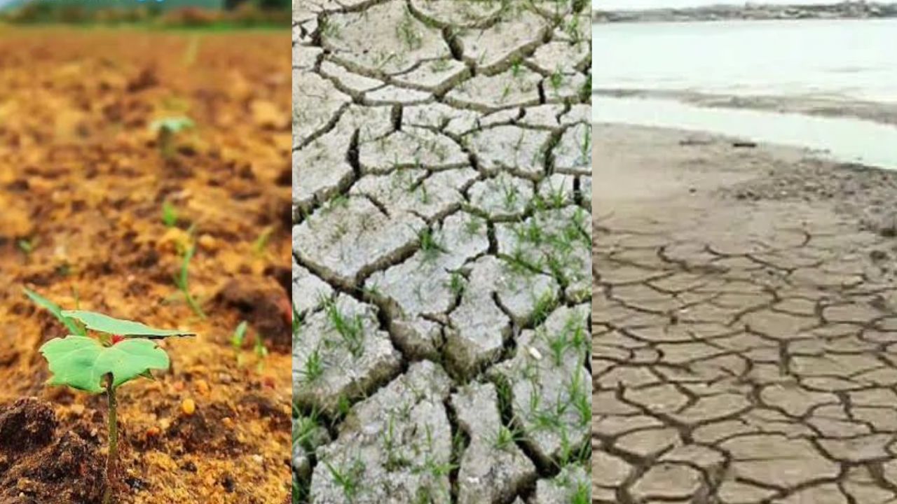 Telangana Drought Alert: వాన జాడే లేదు.. కరువు కోరల్లోకి తెలంగాణ.. రైతుల్లో పెరుగుతున్న ఆందోళన!