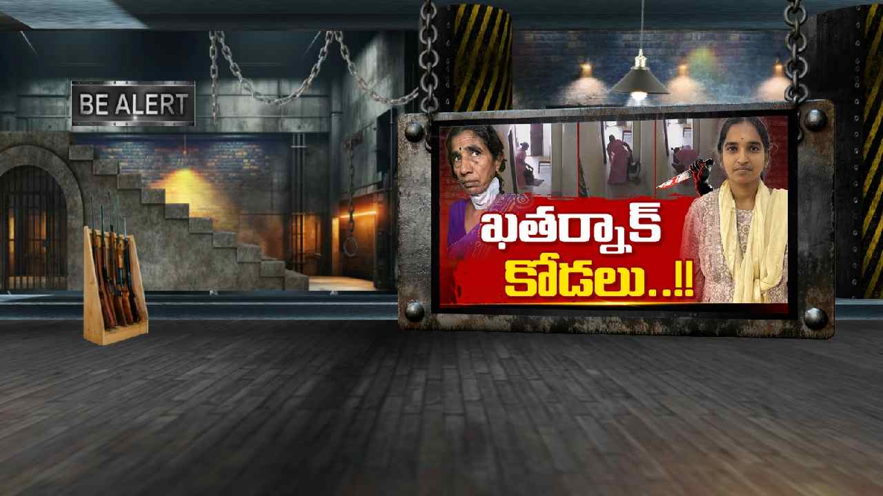 ఖతర్నాక్ కోడలు..!