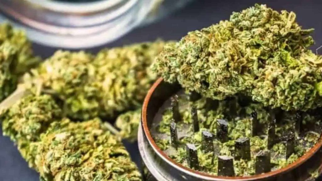 Ganja