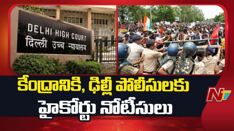 Delhi High Court: పబ్లిసిటీ కోసం లాఠీ దెబ్బలు తింటారా? పోలీసులపై హైకోర్టు ఆగ్రహం
