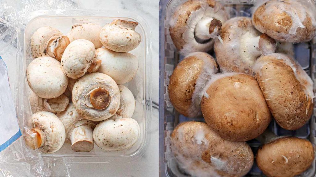Mushrooms