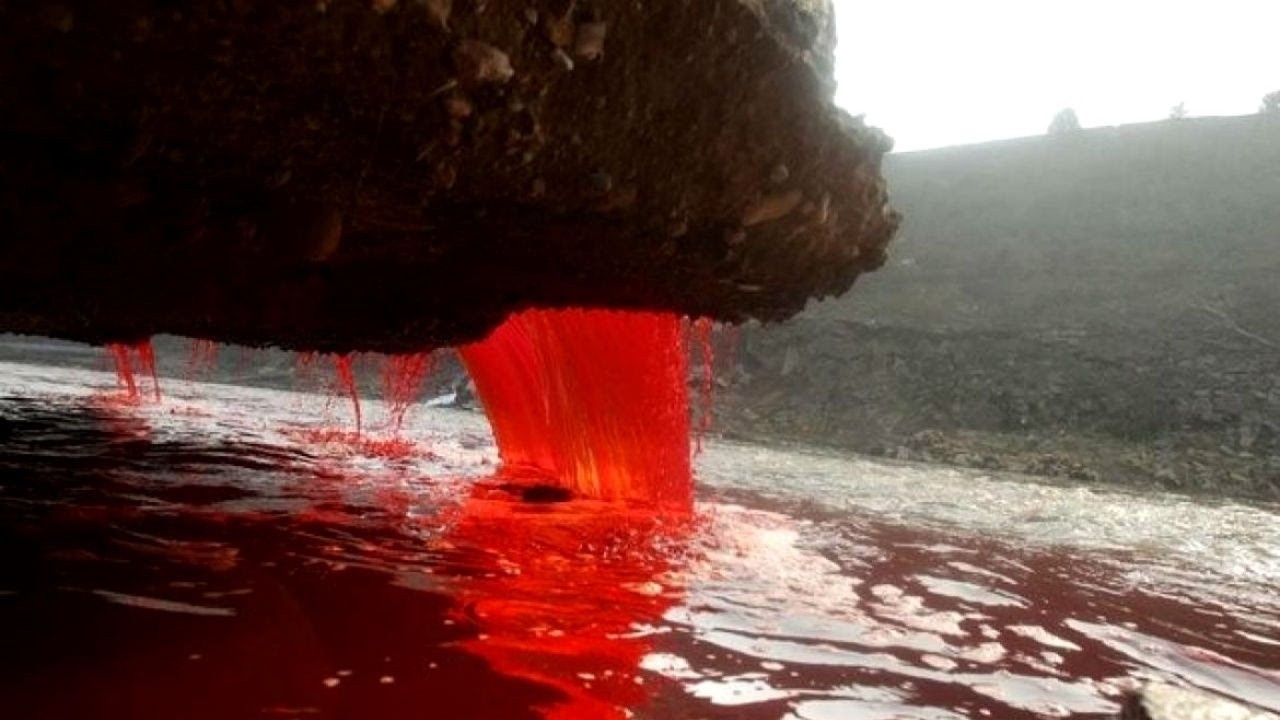 Antarctica: రక్త జలపాత రహస్యం.. 100ఏళ్ల మిస్టరీ వీడింది!