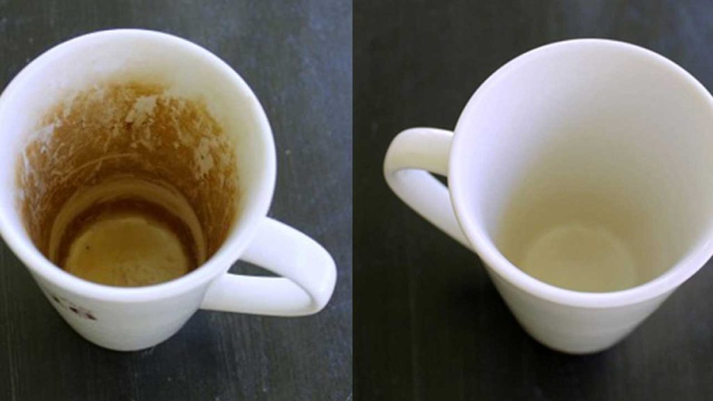 Tea Cup