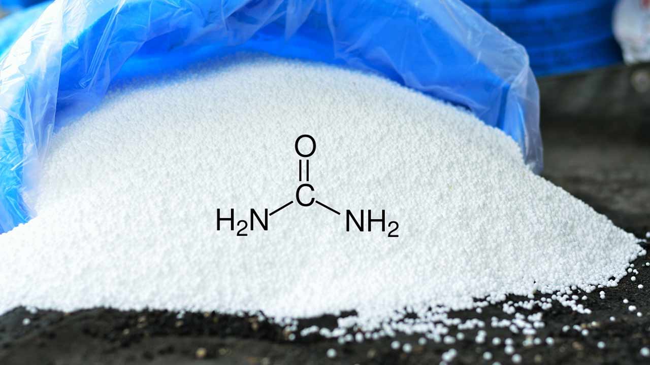 siddipet urea distribution irregularities app exposes scam