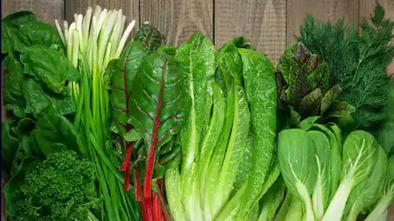 Rainy Season Tips : వర్షాకాలంలో ఆకుకూరలు తింటున్నారా? ఈ జాగ్రత్తలు తీసుకోకపోతే ప్రమాదమే.!