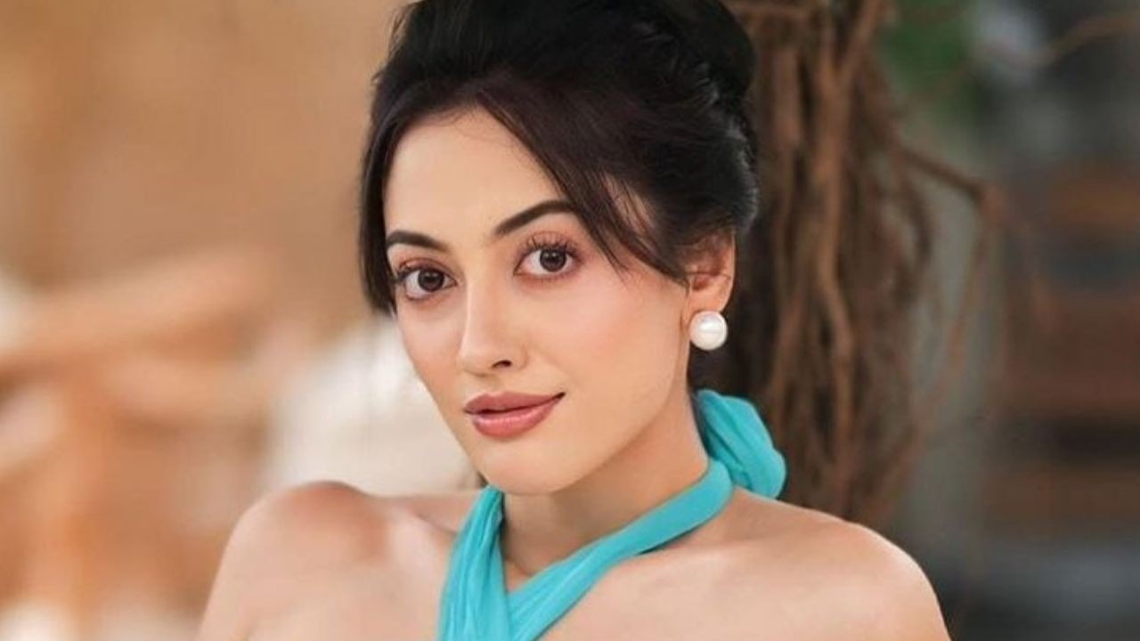 Aditi Sharma: కప్పు కాఫీ కోసం రోడ్డున పడ్డ సంసారం.. గృహహింస కేసు పెట్టిన బుల్లితెర నటి