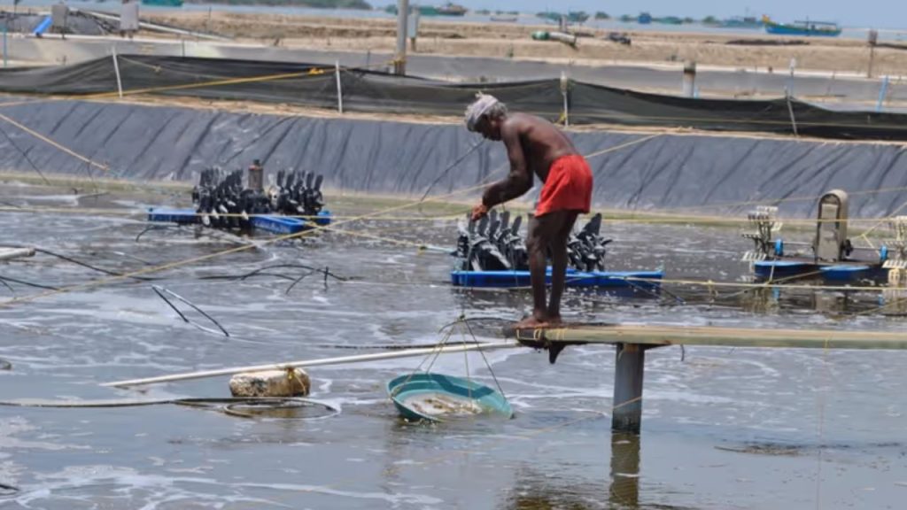 Aqua Farmers Subsidy