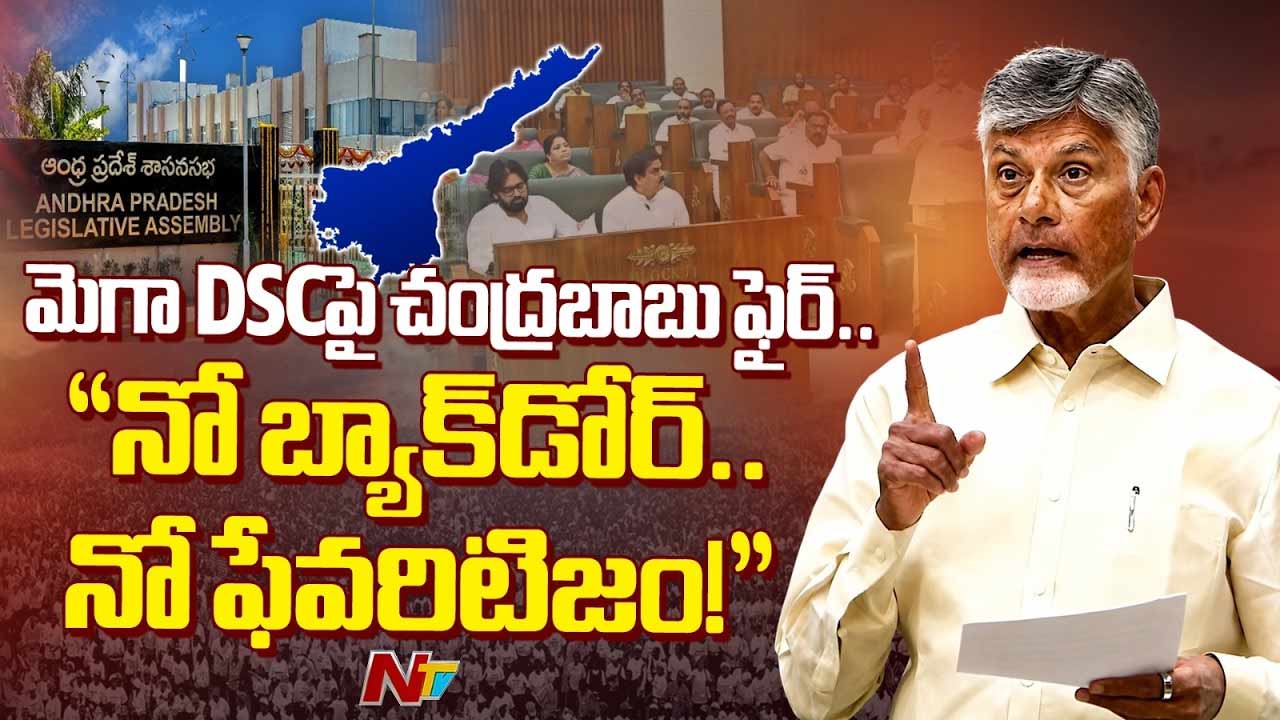 CM Chandrababu: దమ్ముంటే అసెంబ్లీకి రండి.. వైసీపీకి సీఎం చంద్రబాబు సవాల్.. మెగా డీఎస్సీపై కీలక వ్యాఖ్యలు