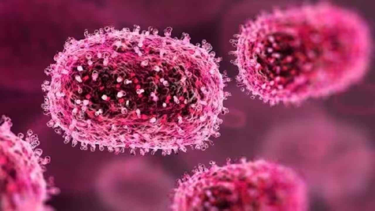 chandipura virus explained symptoms brain infection causes and why it is deadly for children