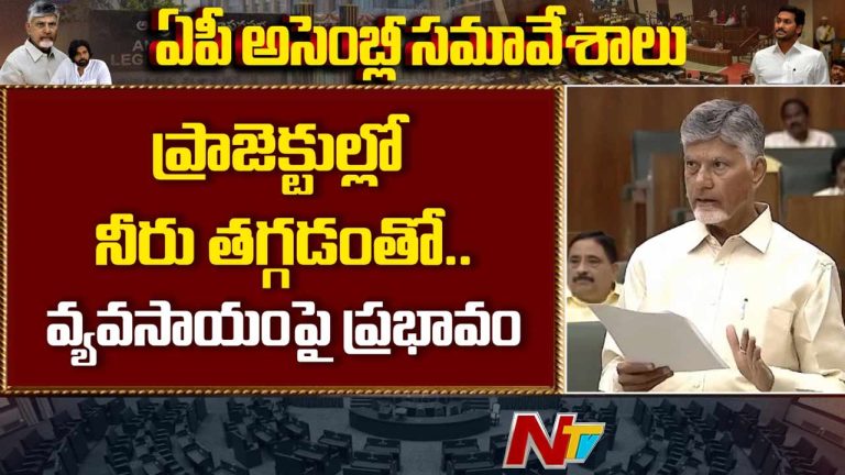 CM Chandrababu: రాష్ట్రంలో నీటి కొరతపై అలర్ట్.. ఎల్‌నినోపై ప్రజలకు సీఎం కీలక సూచనలు